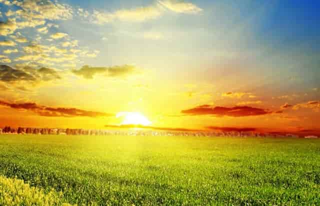 接种新冠疫苗可降低