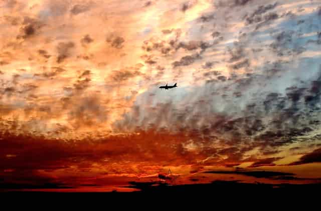 市综合执法局绿化