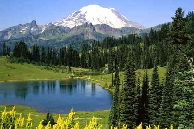 教师专业职业证书