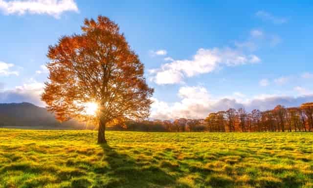 意大利输了会被淘汰吗