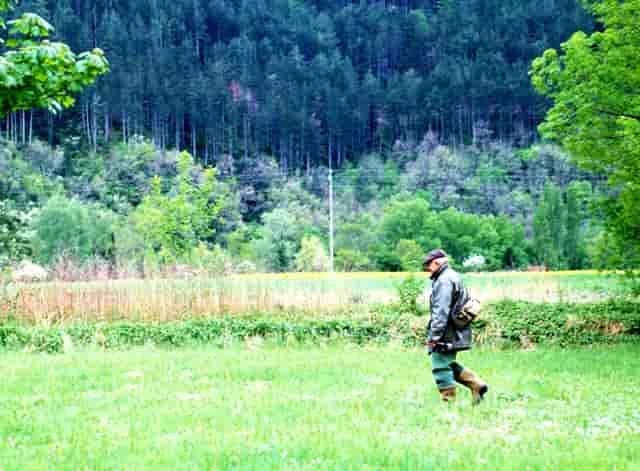 杨洋最新剧图片